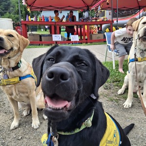 Fundraising Page: Derek Hought